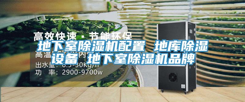 地下室猫咪成人官网配置 地库除湿设备 地下室猫咪成人官网品牌