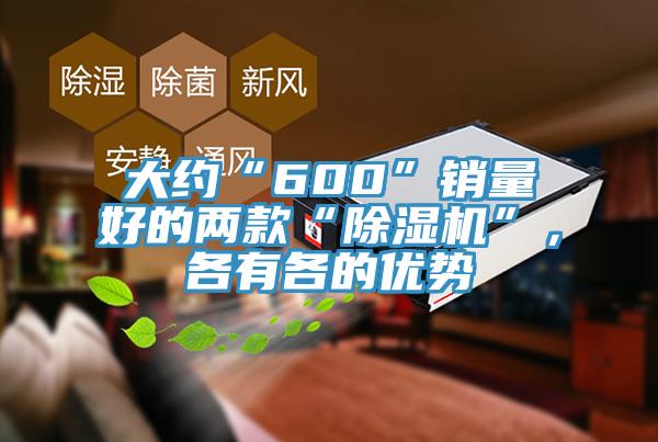 大约“600”销量好的两款“猫咪成人官网”，各有各的优势
