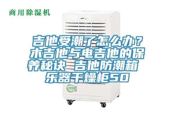吉他受潮了怎么办？木吉他与电吉他的保养秘诀 吉他防潮箱 乐器干燥柜50