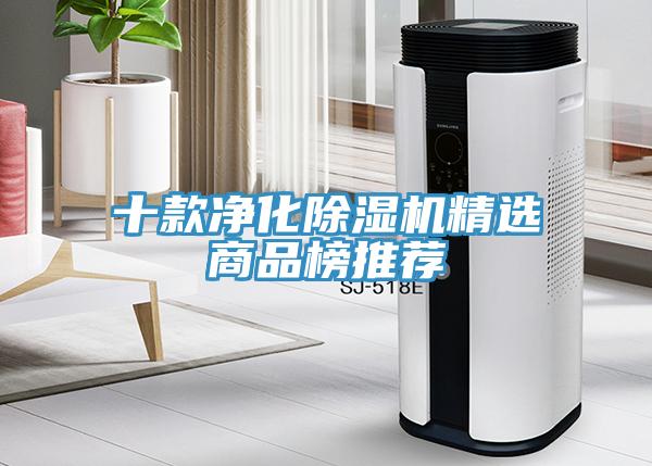 十款净化猫咪成人官网精选商品榜推荐