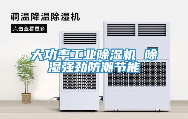 大功率工业猫咪成人官网 除湿强劲防潮节能