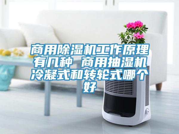 商用猫咪成人官网工作原理有几种 商用抽湿机冷凝式和转轮式哪个好