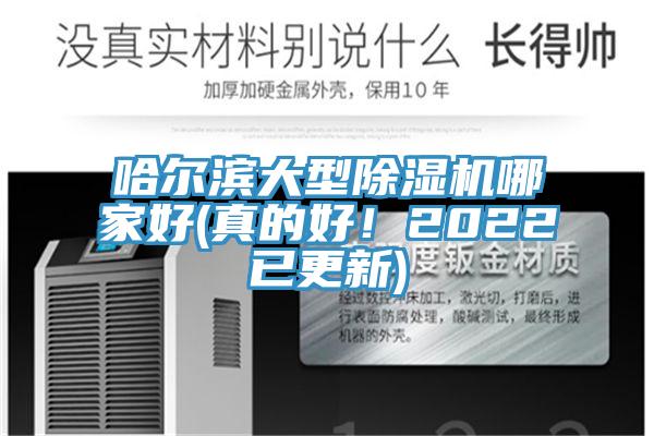 哈尔滨大型猫咪成人官网哪家好(真的好！2022已更新)