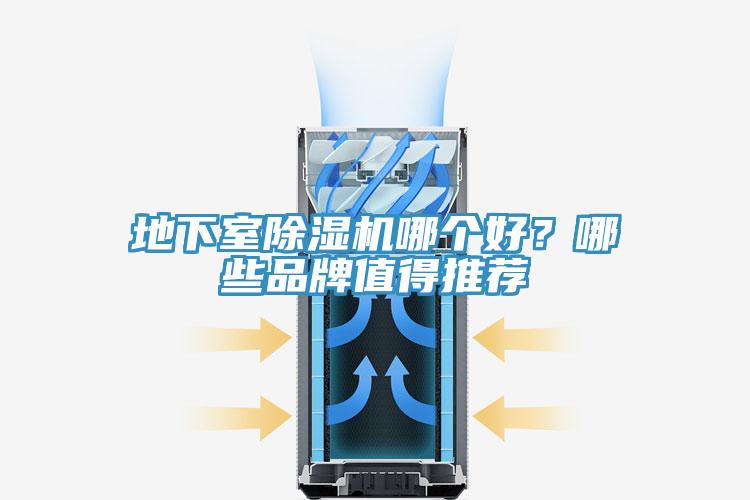 地下室猫咪成人官网哪个好？哪些品牌值得推荐