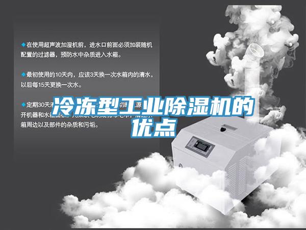 冷冻型工业猫咪成人官网的优点