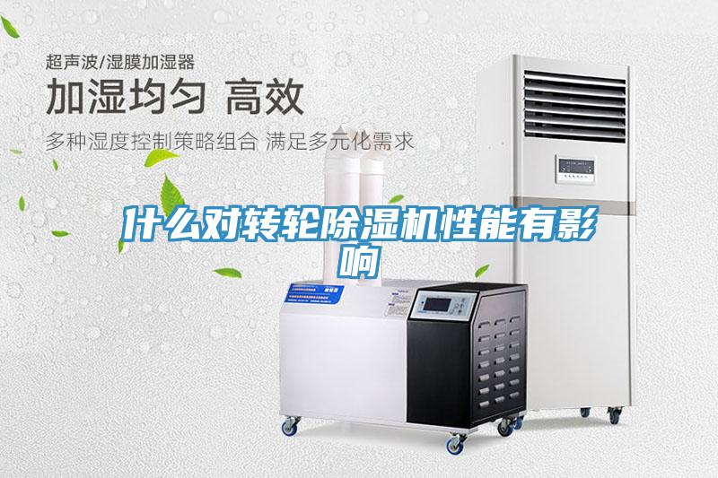 什么对转轮猫咪成人官网性能有影响