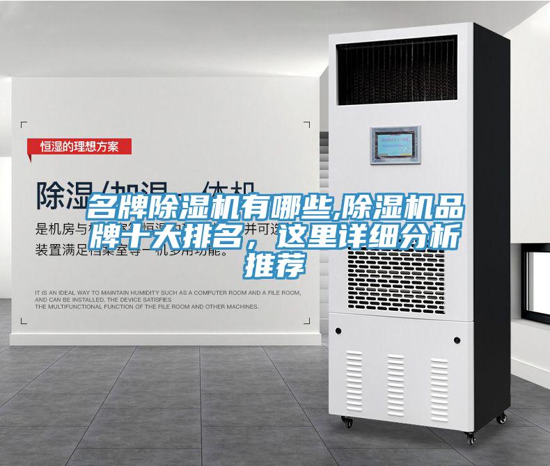 名牌猫咪成人官网有哪些,猫咪成人官网品牌十大排名，这里详细分析推荐
