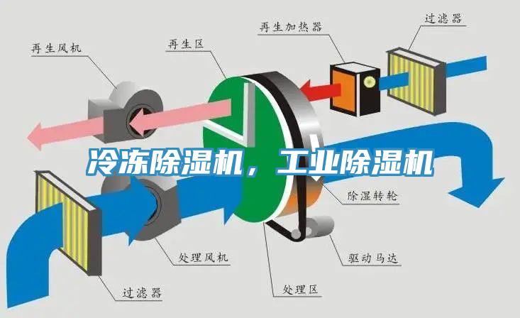 冷冻猫咪成人官网，工业猫咪成人官网