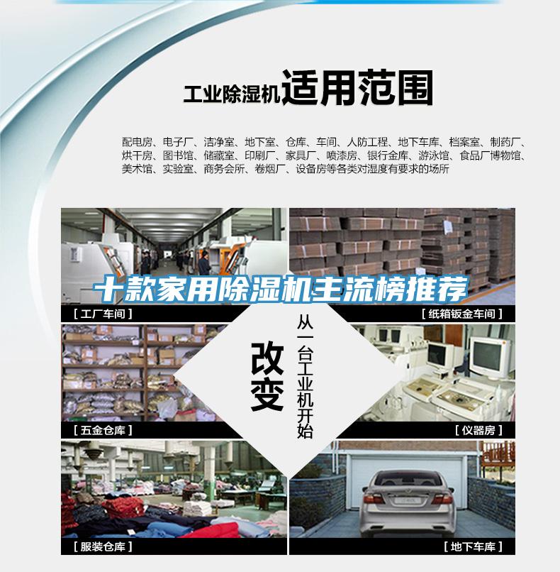 十款家用猫咪成人官网主流榜推荐