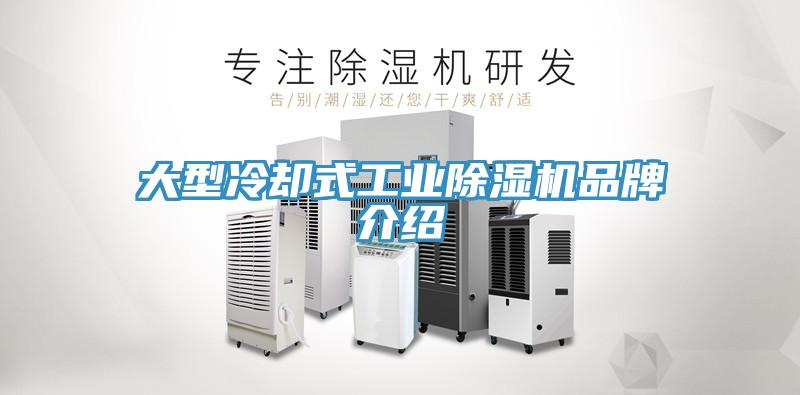 大型冷却式工业猫咪成人官网品牌介绍