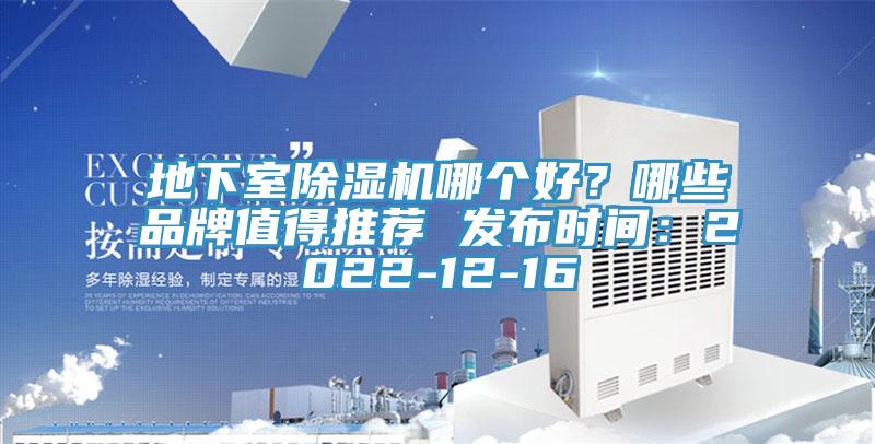 地下室猫咪成人官网哪个好？哪些品牌值得推荐 发布时间：2022-12-16