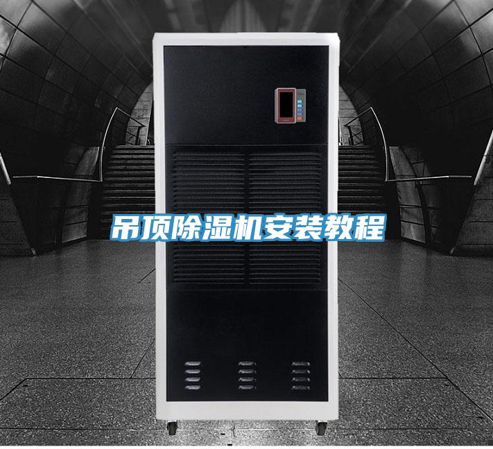 吊顶猫咪成人官网安装教程