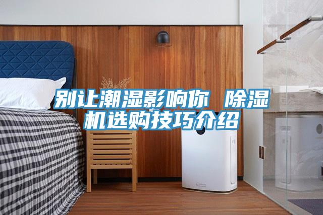 别让潮湿影响你 猫咪成人官网选购技巧介绍