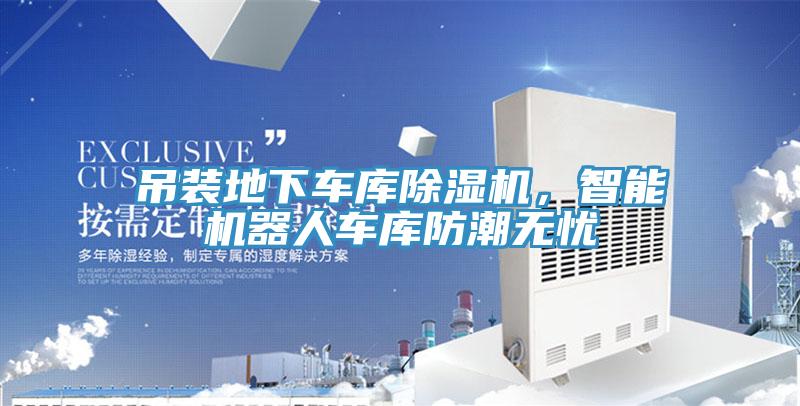 吊装地下车库猫咪成人官网，智能机器人车库防潮无忧