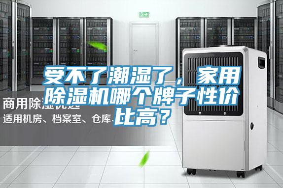 受不了潮湿了，家用猫咪成人官网哪个牌子性价比高？