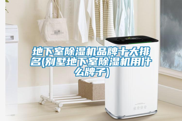 地下室猫咪成人官网品牌十大排名(别墅地下室猫咪成人官网用什么牌子)