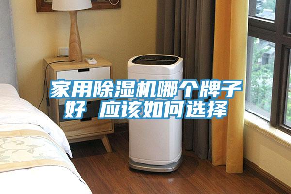 家用猫咪成人官网哪个牌子好 应该如何选择
