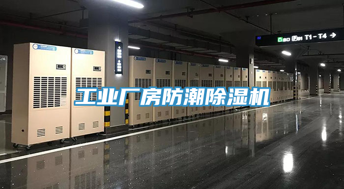 工业厂房防潮猫咪成人官网
