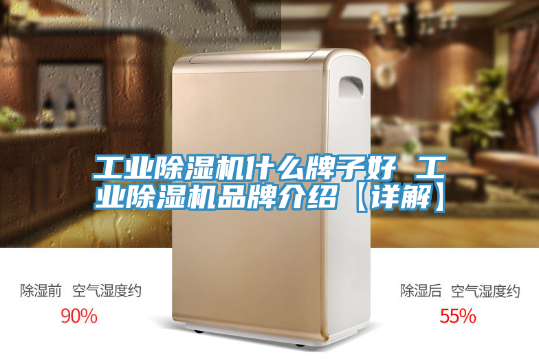 工业猫咪成人官网什么牌子好 工业猫咪成人官网品牌介绍【详解】