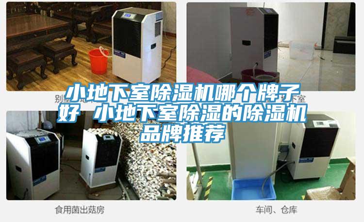 小地下室猫咪成人官网哪个牌子好 小地下室除湿的猫咪成人官网品牌推荐