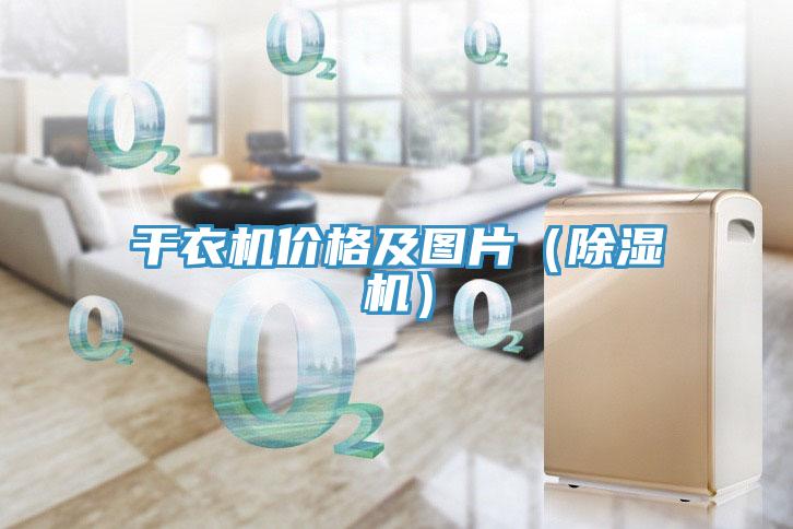 干衣机价格及图片（猫咪成人官网）