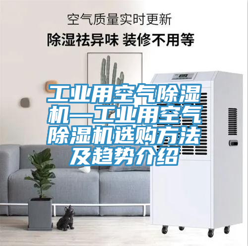 工业用空气猫咪成人官网—工业用空气猫咪成人官网选购方法及趋势介绍