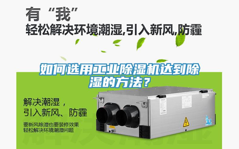 如何选用工业猫咪成人官网达到除湿的方法？