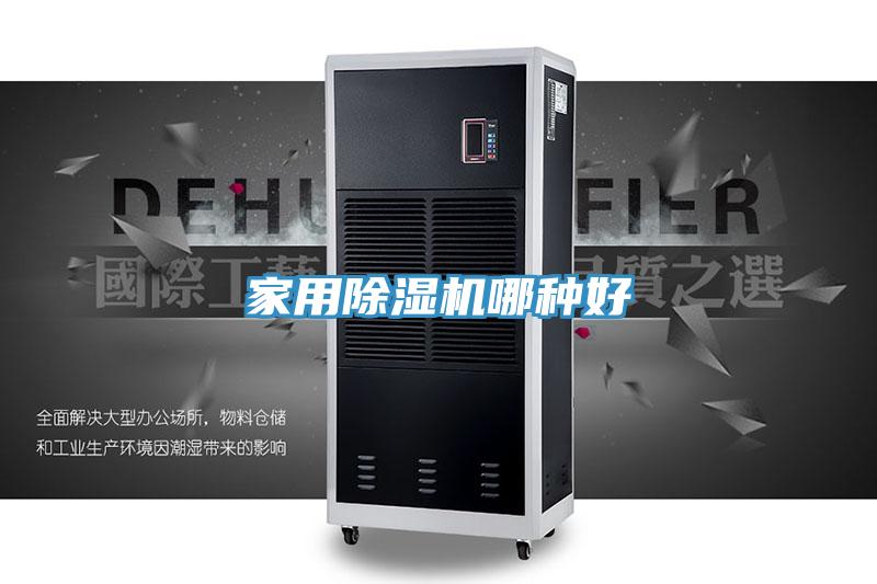 家用猫咪成人官网哪种好