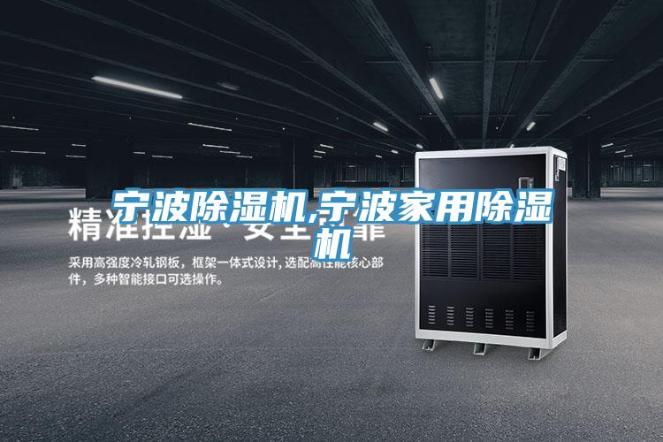 宁波猫咪成人官网,宁波家用猫咪成人官网