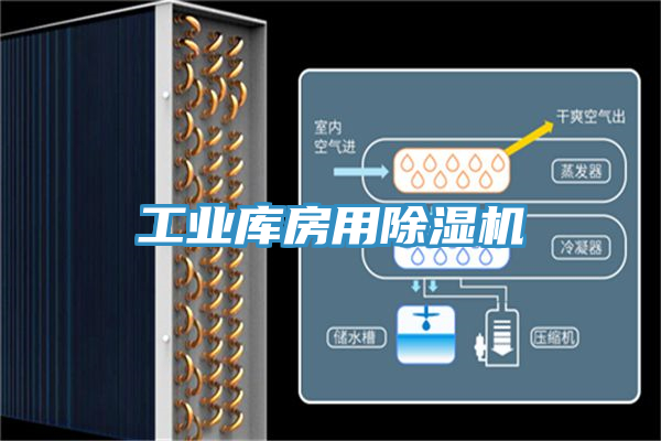 工业库房用猫咪成人官网