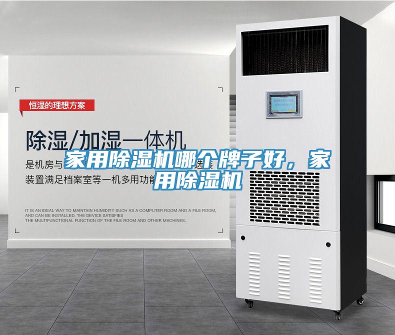 家用猫咪成人官网哪个牌子好，家用猫咪成人官网