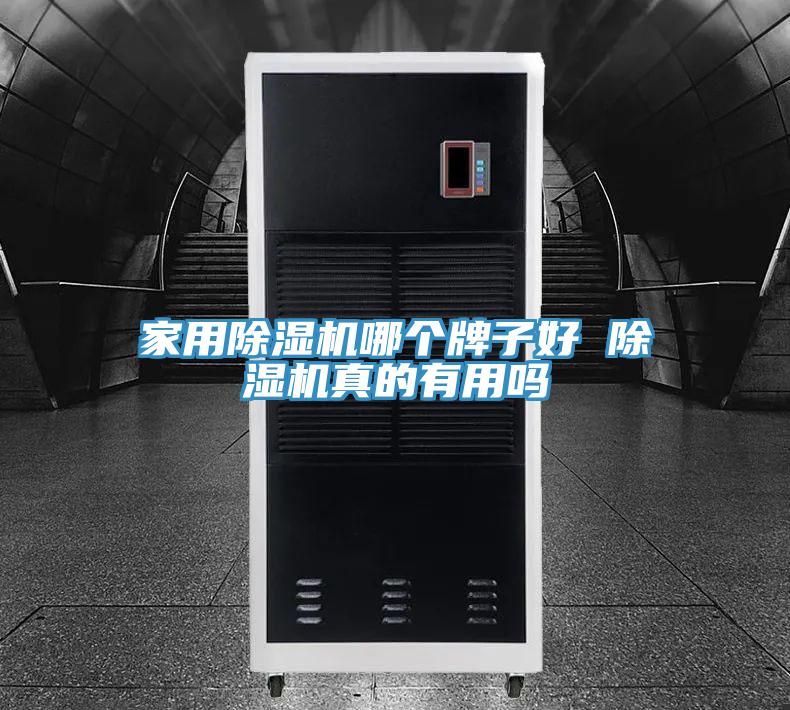 家用猫咪成人官网哪个牌子好 猫咪成人官网真的有用吗
