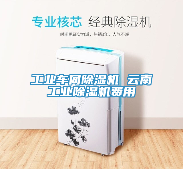 工业车间猫咪成人官网 云南工业猫咪成人官网费用