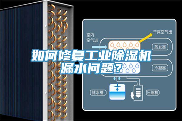 如何修复工业猫咪成人官网漏水问题？