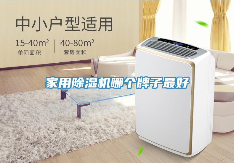 家用猫咪成人官网哪个牌子最好