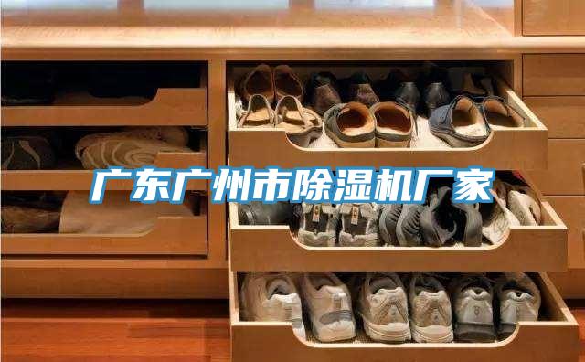 广东广州市猫咪成人官网厂家
