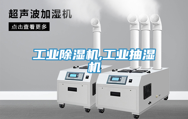 工业猫咪成人官网,工业抽湿机