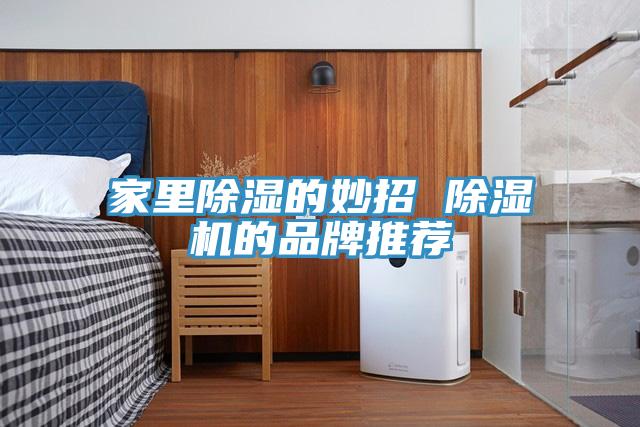 家里除湿的妙招 猫咪成人官网的品牌推荐