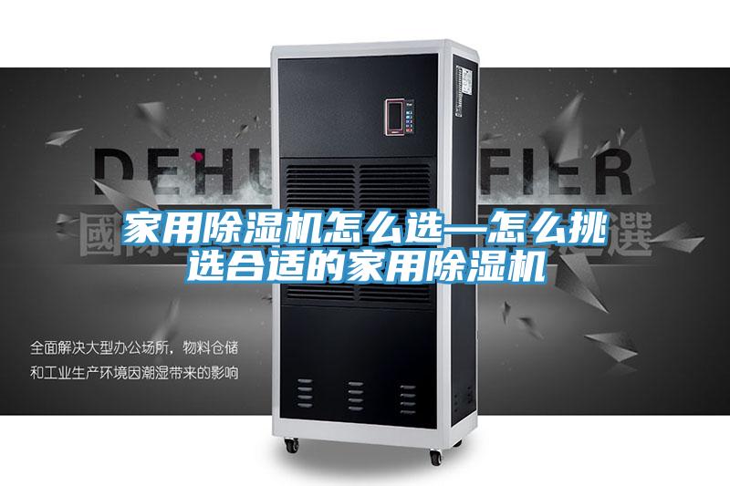 家用猫咪成人官网怎么选—怎么挑选合适的家用猫咪成人官网