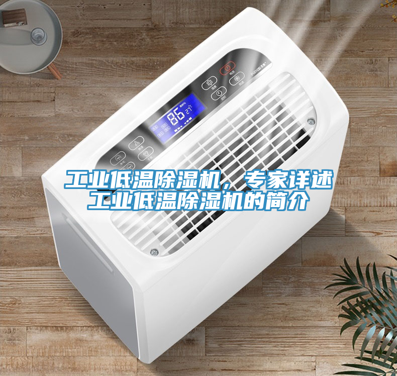 工业低温猫咪成人官网，专家详述工业低温猫咪成人官网的简介