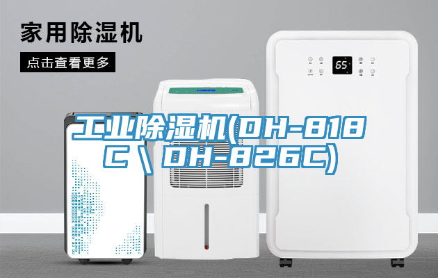 工业猫咪成人官网(DH-818C＼DH-826C)