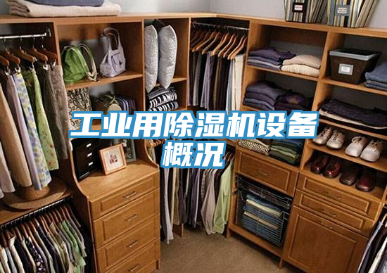 工业用猫咪成人官网设备概况