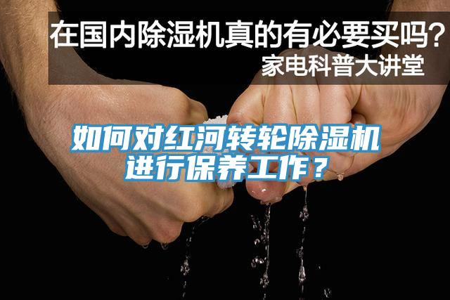 如何对红河转轮猫咪成人官网进行保养工作？