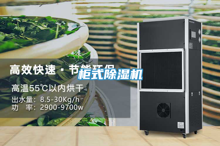 柜式猫咪成人官网