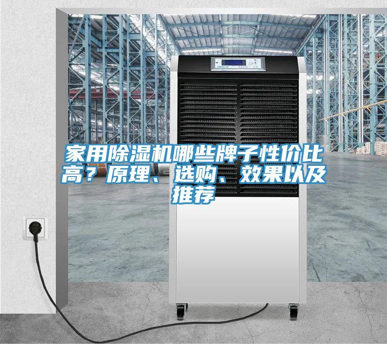 家用猫咪成人官网哪些牌子性价比高？原理、选购、效果以及推荐