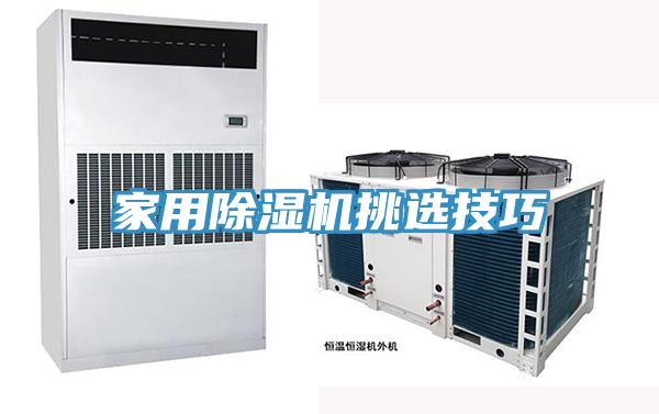 家用猫咪成人官网挑选技巧