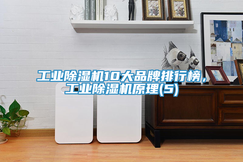 工业猫咪成人官网10大品牌排行榜，工业猫咪成人官网原理(5)