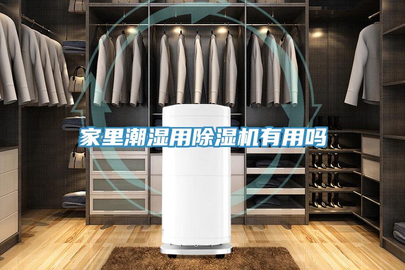 家里潮湿用猫咪成人官网有用吗