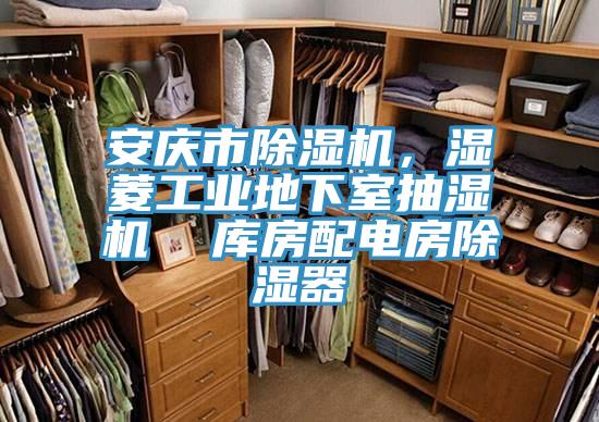 安庆市猫咪成人官网，湿菱工业地下室抽湿机  库房配电房除湿器