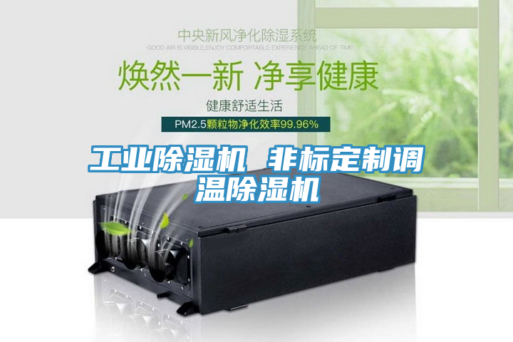 工业猫咪成人官网 非标定制调温猫咪成人官网